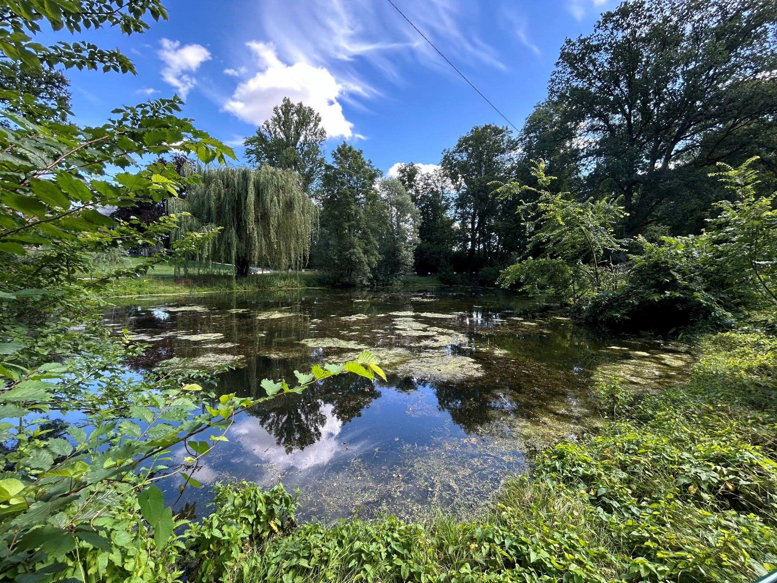Mare du parc du Domaine de Moncel